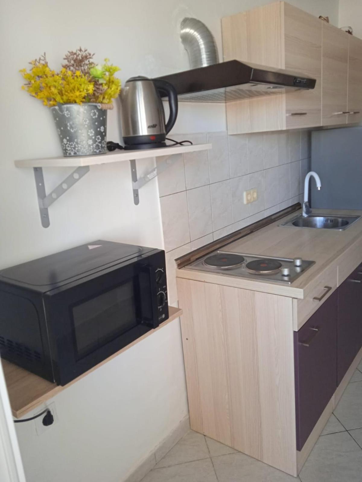 Apartment Tudek Vir
